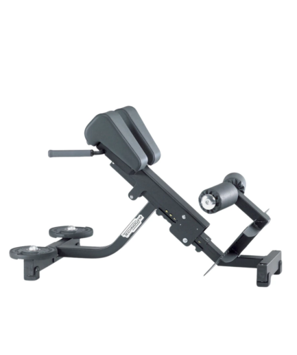 意大利泰诺健Technogym 罗马椅 方管 Back Extension