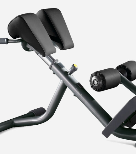 意大利泰诺健Technogym 罗马椅 圆管 Back Extension