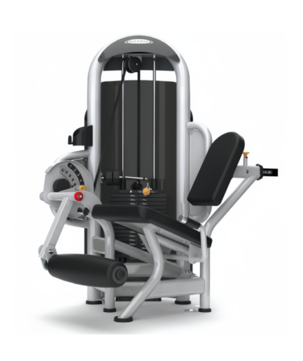 美国乔山Matrix  踢腿 Leg Extension