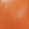意大利Panatta 踢腿 Leg Extension - Orange（爱马仕橙）