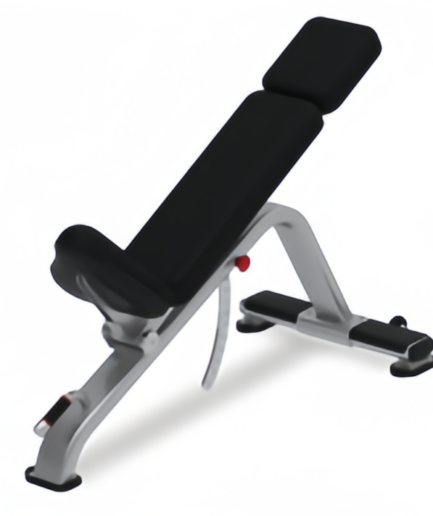 美国星驰 STAR TRAC 可调凳（重型） Adjustable Dumbbell Bench