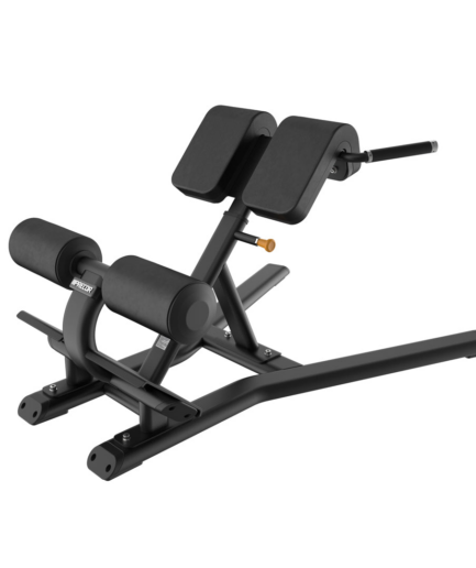 美国必确 Precor 罗马椅 Back Extension