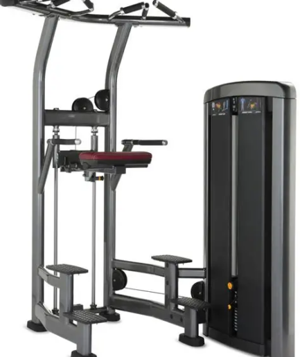 美国力健LifeFitness 辅助引体Insignia系列 Chin/Dip Assist